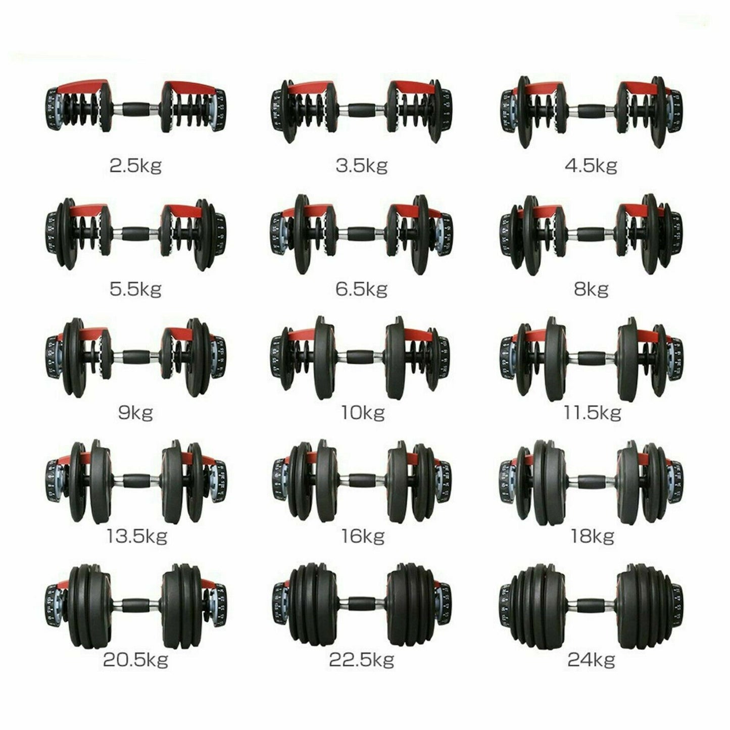 Adjustable Camping Dumbbells - jmscamping.com